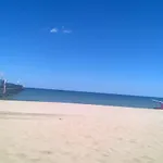 Nova Dhely Римини