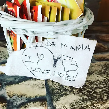 Nova Dhely Rimini