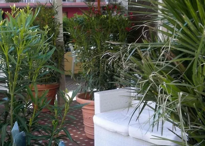 Nova Dhely Hotell 3*