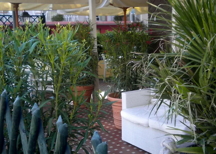 Nova Dhely Hotell 3*