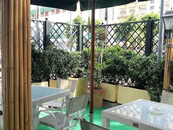 Nova Dhely 리미니